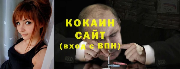 гидра Абаза