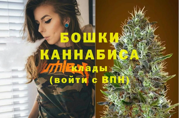 гидра Абаза
