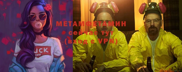 гидра Абаза