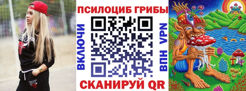 Псилоцибиновые грибы Psilocybe  darknet состав  Сорск 